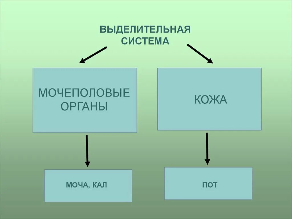 Является ли часть