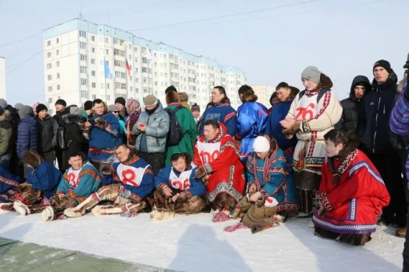 День оленевода тазовский. День оленевода Тазовский 2021. День оленевода в Тазовском 2022. Тазовский поселок оленевод. День оленевода Яр Сале.