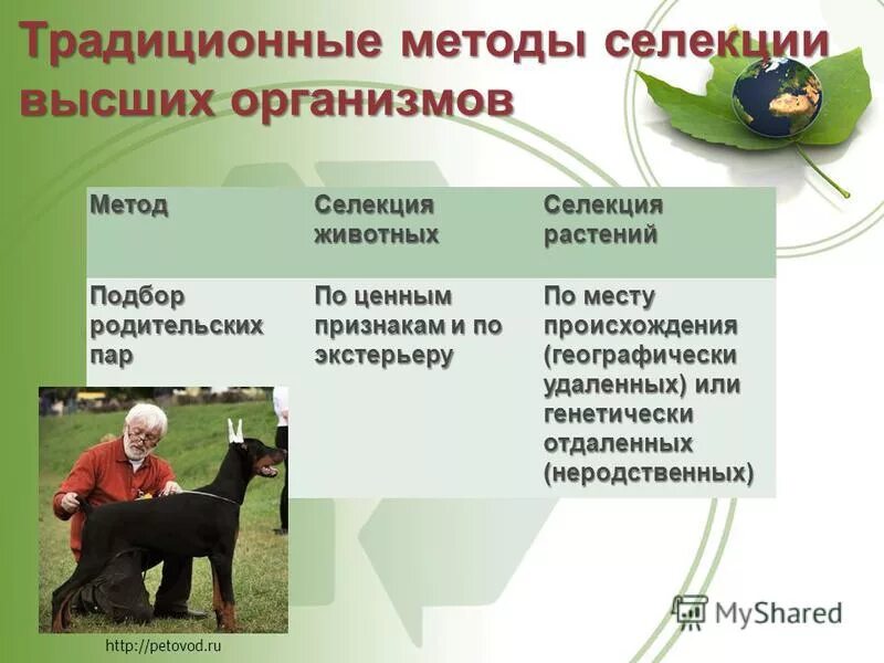 Проблемы педагогики и психологии. Социально-психологические проблемы. Основной психологической проблемой традиционного подхода. Сравнительная таблица традиционного и развивающего обучения. Методы психокоррекции детей.