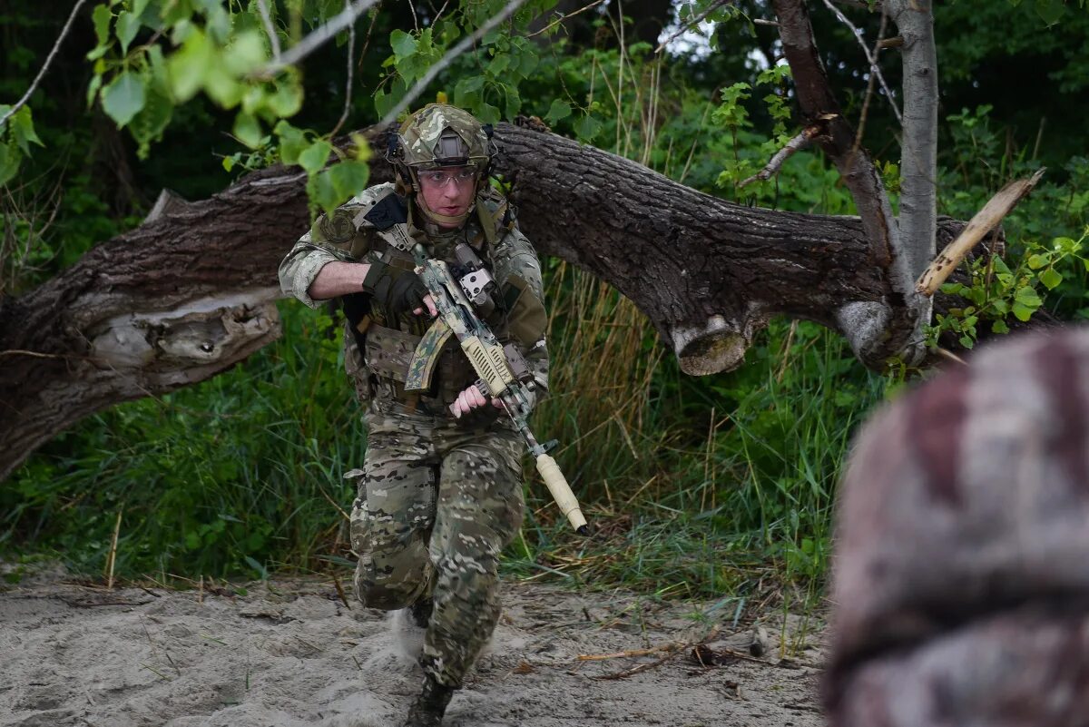 морские дьяволы особое задание бизон. морские дьяволы особое задание 2020. морские дьяволы особое задание 2. тигр морские дьяволы особое задание 2020. морские дьяволы особое задание 2.