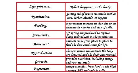 Life processes