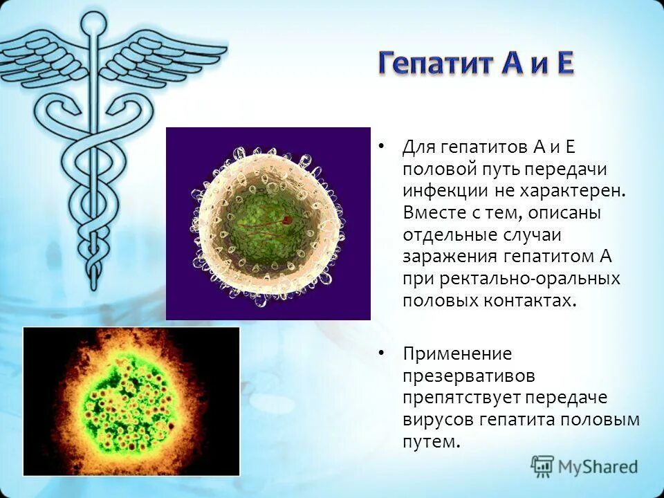 Гепатиты передающиеся половымпутем. Половой путь передачи инфекции характерен для. Гепатит е пути передачи и заражения.