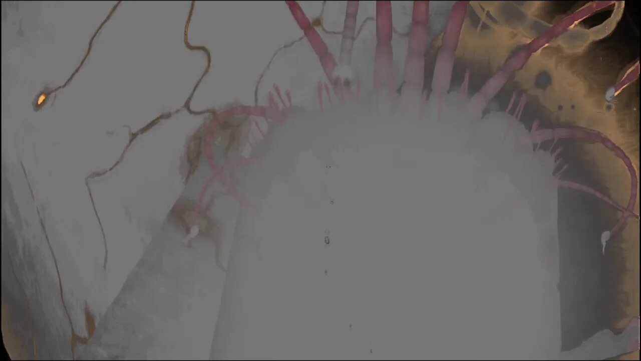 Divinity original sin 2 голова статуи. Дивинити 2 мона. Червь пустоты. Исчадия пустоты divinity original sin 2. Исчадия пустоты divinity original sin 2.