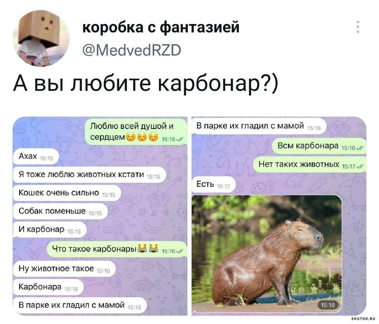 Переписка животных