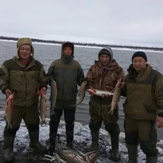 Погода среднеколымск
