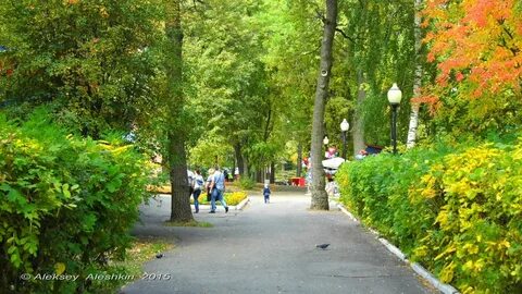 Работа в парке белинского пенза