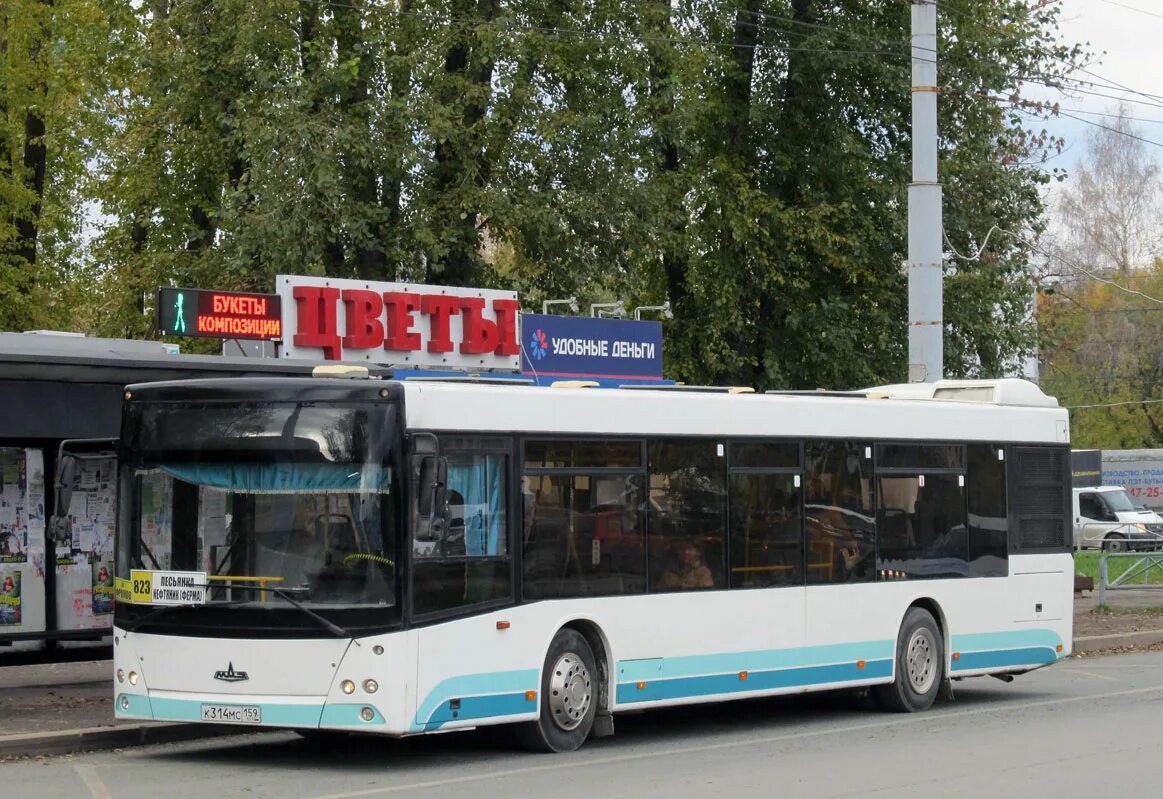 Маз пермь. 485 2015 ростов. Маз 203. Маз 203 пермь. Маз пермь.