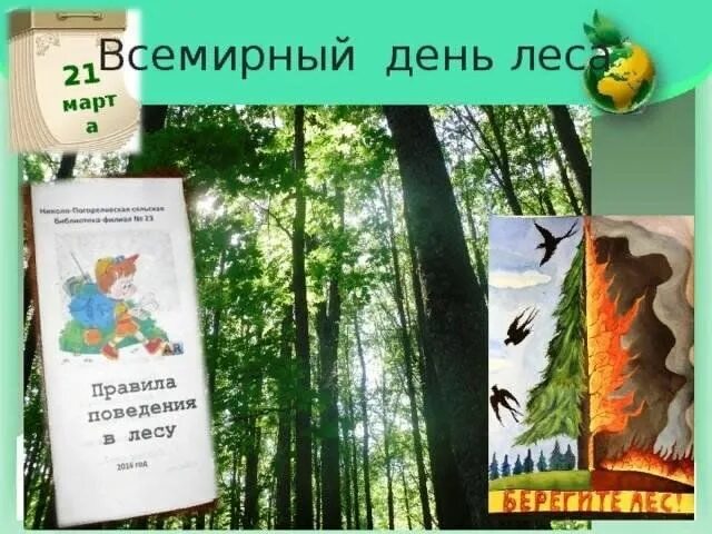 21 международный день леса. Международный день леса. Международный день леса презентация.