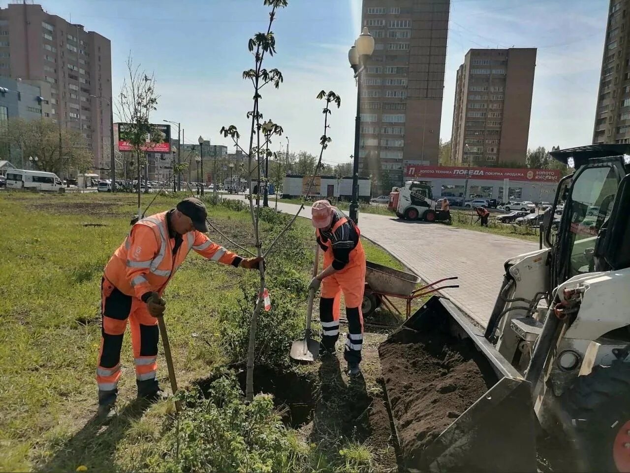 Срубил дерево посади. Министерство благоустройства вылетные магистрали. Движение в зеленую зону. Вдоль шоссе высадили 20 деревьев. Осенний месячник по благоустройству 2022.