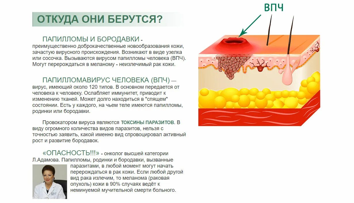 Папиломы вирус передается от человека к человеку. От вируса папилломы человека.