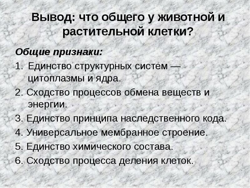 Сравнение клеток растений и животных вывод. Животная клетка вывод. Вывод клетки растений и животных. Сходства и различия растительной и животной клетки вывод. Клетки растений и животных различия сходство