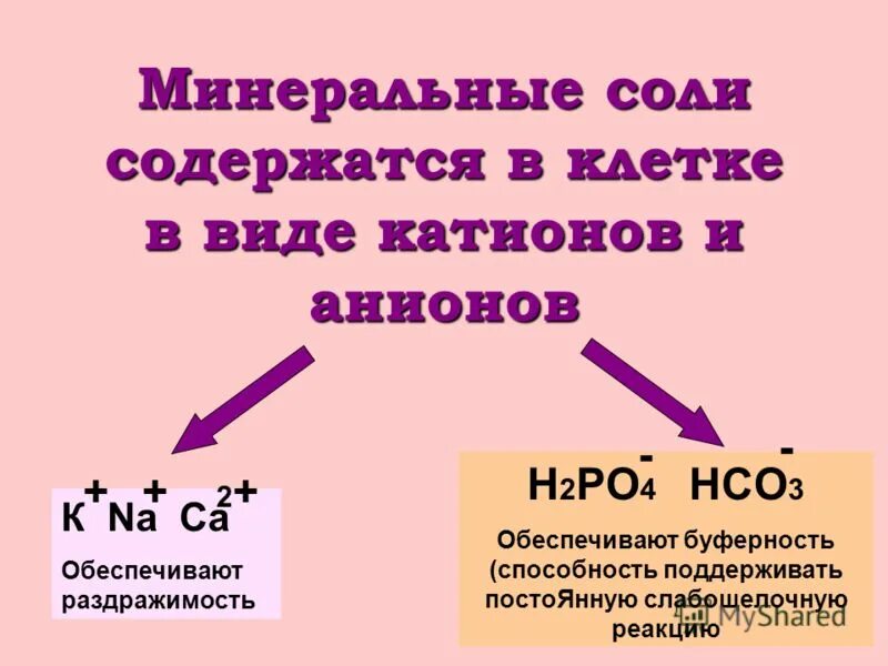 Что такое минеральные соли. Минеральные соли строение и функции.