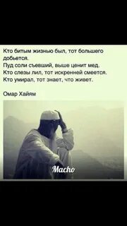 Бит жизни