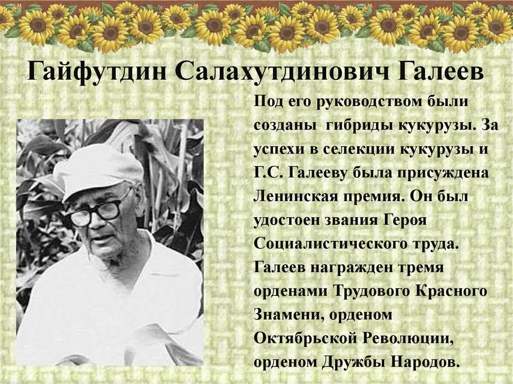 Кубановедение 3 класс твои земляки труженики. Труженики кубанских полей. герои кубанских полей. известные труженики. труженики полей кубановедение.
