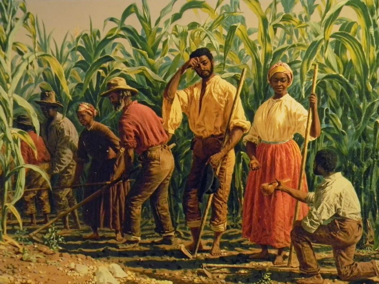 Плантации рабыни. Хлопковые плантации США В 19 веке. Негры на плантации. Раб на плантации. Рабы на плантациях.