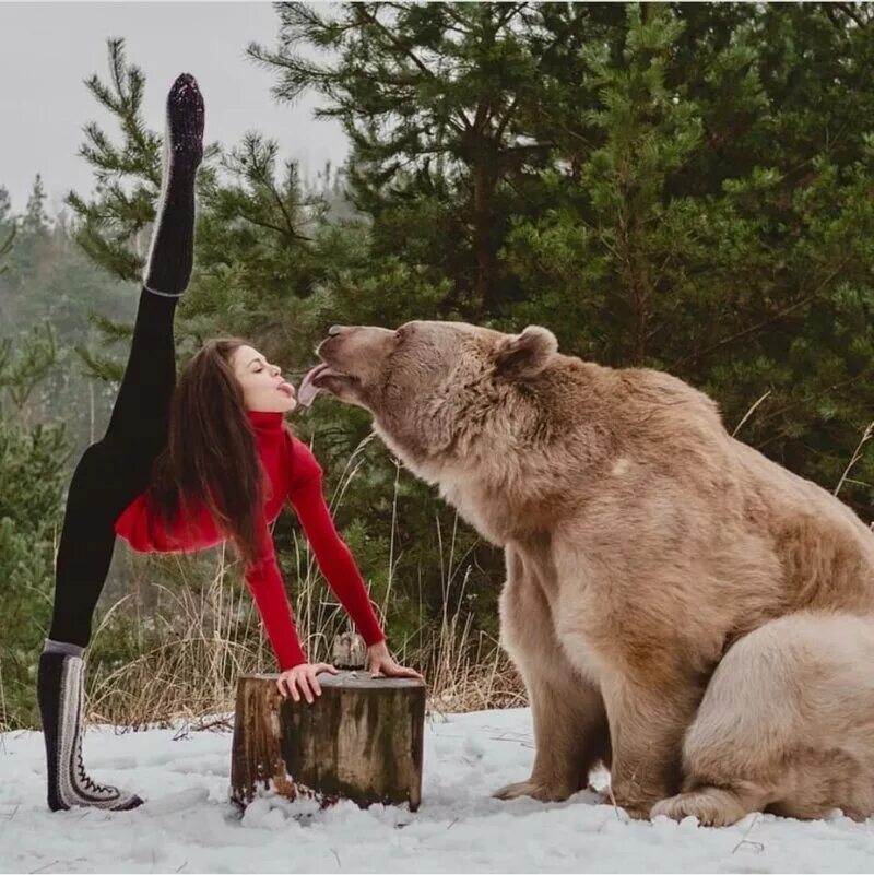 Беар Фунни. Медведь Россия.