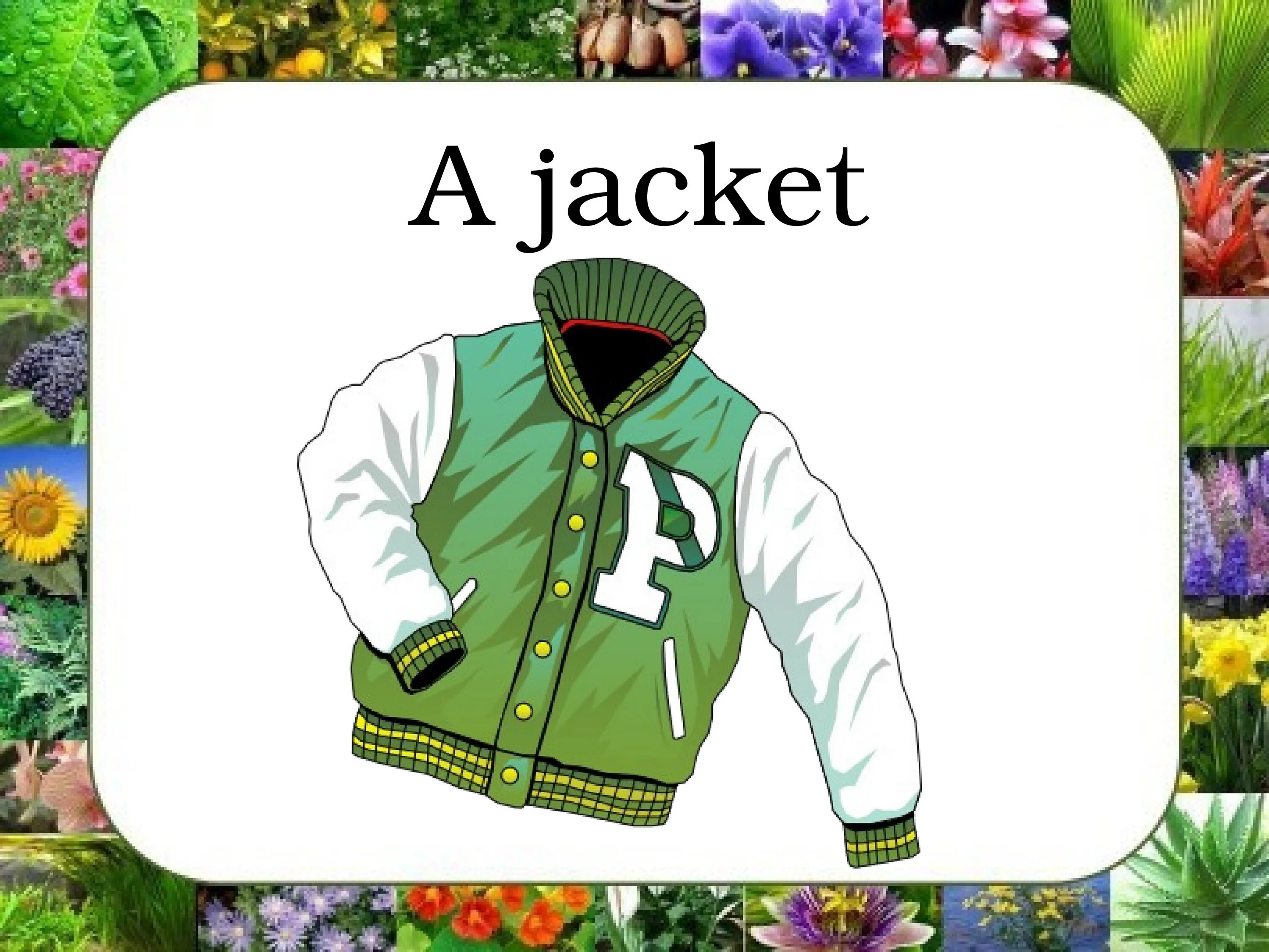 Jacket перевод с английского на русский. Куртка карточки для детей. Куртка по английскому. Карточка по английскому куртка. Куртка рисунок для детей.