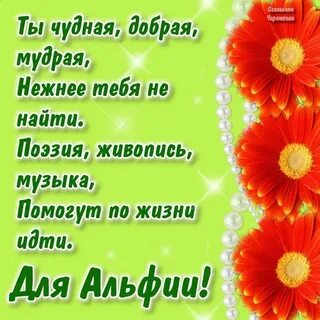 Красивое поздравление с днем рождения альфие
