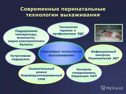Перинатальные технологии вологда сайт