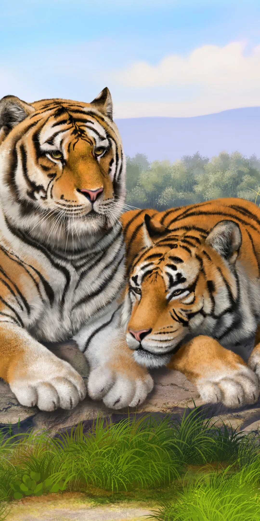 Заставки на телефон тиграми бесплатные. Тигр. Красивый тигр. Тигр жив. Тигр на заставку.