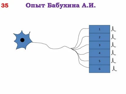 Эксперимент 35