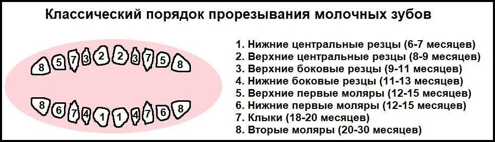 Прорезывание 8 зуба у детей. Порядок прорезывания молочных зубов. Очерёдность прорезывания зубов у детей по возрасту. Как прорезаются зубы у детей порядок.