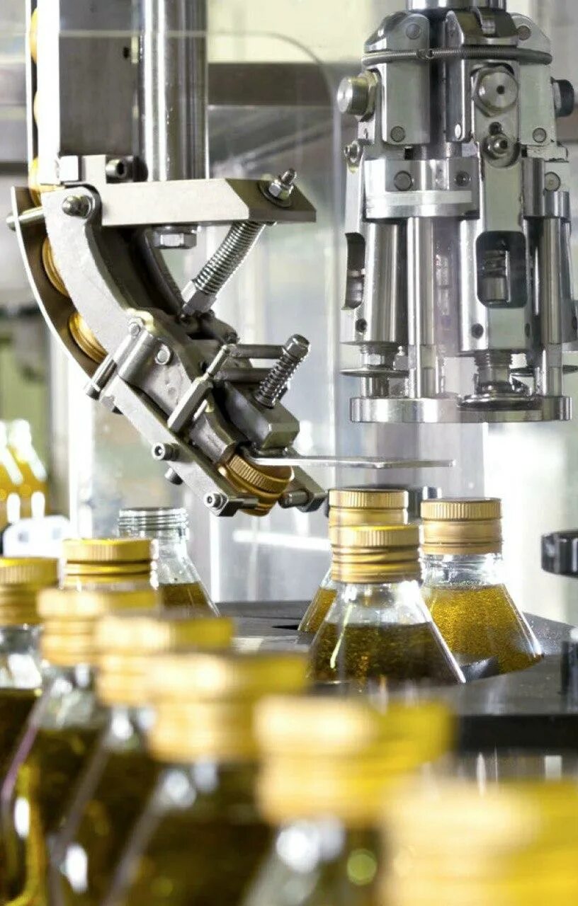 Пищевая промышленность масло. Пищевая промышленность. Производство масла оливкового завод. Производство растительного масла в мире. Пищевая и перерабатывающая промышленность.