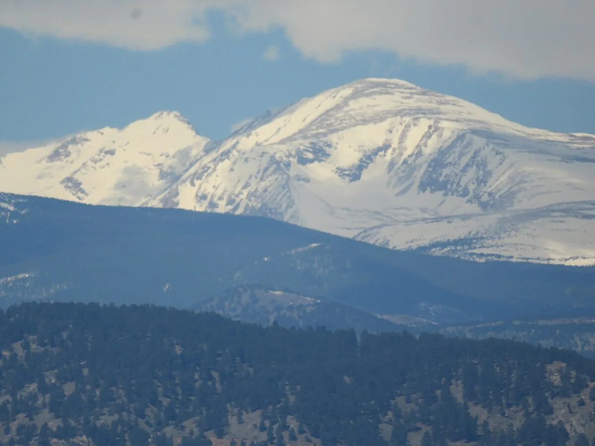 Northern Mountain Peak Forest.