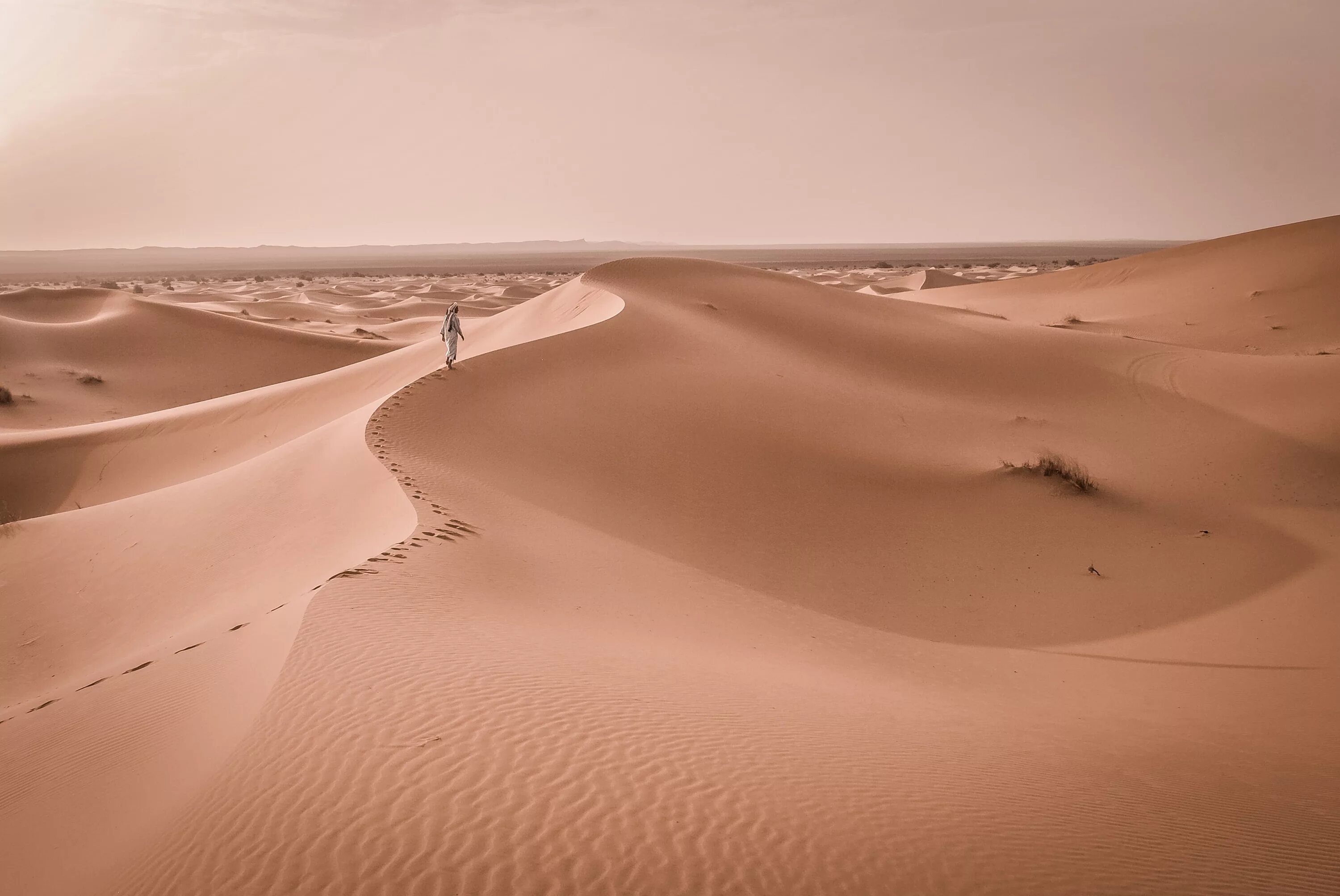 Desert her. Барханы в пустыне. Человек идет по пустыне. Пустыня сахель. Пустыня для дошкольников.