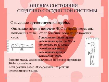 Ортостатическая проба оценивает состояние