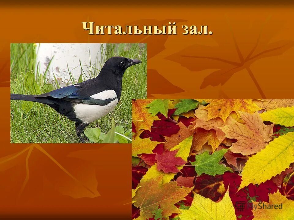 Обобщающий урок это какой. Урок 7 класс обобщающий урок по зарубежной литературе. Обобщающий урок 2 класс. Обобщающий урок 2 класс. Просмотр работ.