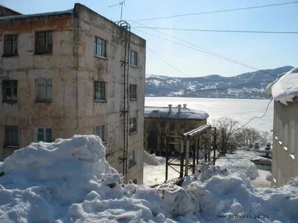 Рыбачий камчатка