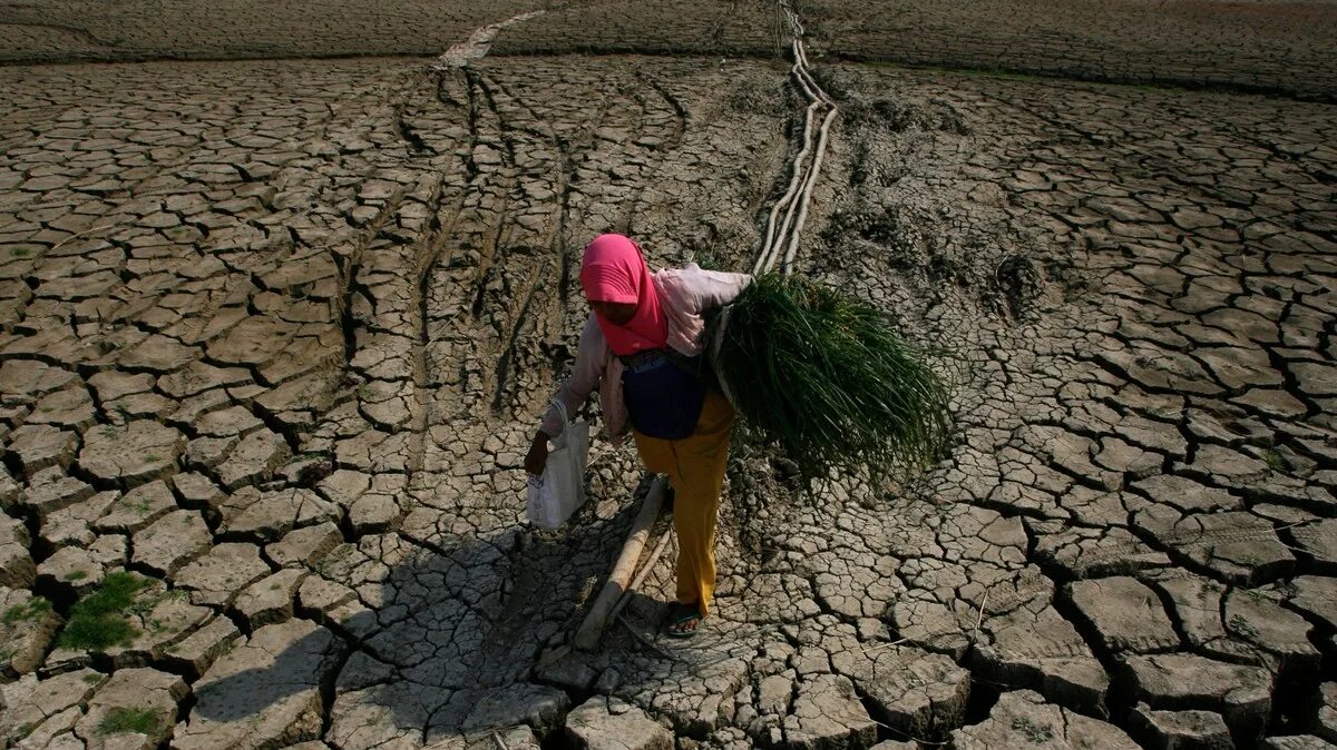 Спас от засухи. Засуха это стихийное бедствие. Природные катастрофы засуха. Спасение от засухи. Natural Disasters засуха.