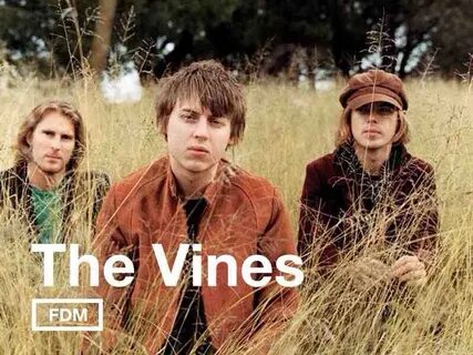 The vines