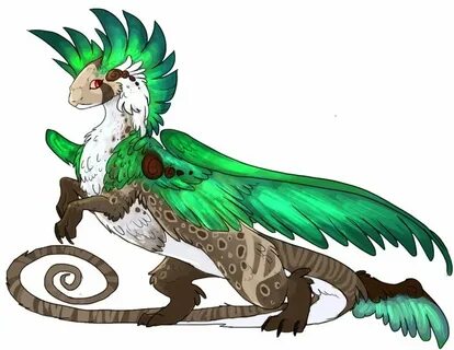 Dragon bird