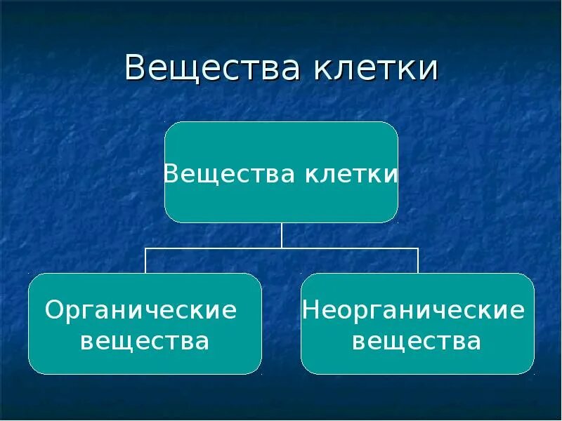 Что такое органические и неорганические вещества. Органические и неорганические вещества клетки. Органические и неорганические соединения клетки. Органические и неорганические вещества клетки биология. Основное неорганическое вещество клетки.