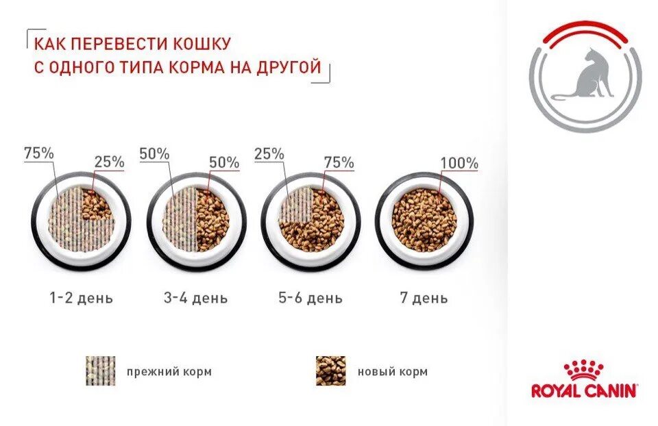 Перевести питание. Как перевести собаку с одного сухого корма на другой сухой корм. как перевести кота на другой сухой корм. как переводить кота на новый сухой корм. как перевести котенка с одного сухого корма на другой.