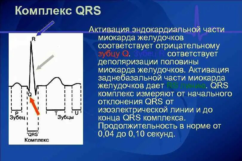 Электрокардиография зубцы QRS. Продолжительность комплекса QRS на ЭКГ В норме составляет. Комплекс QRS электрокардиограммы соответствует:. Комплекс QRS на электрокардиограмме. Зубцы экг в норме