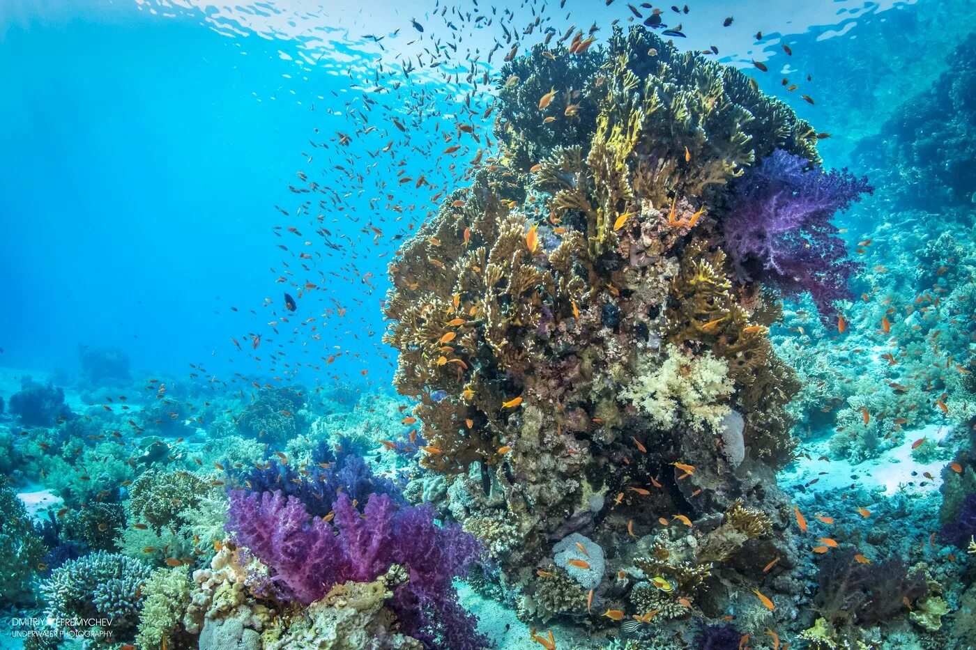 Направление красного моря