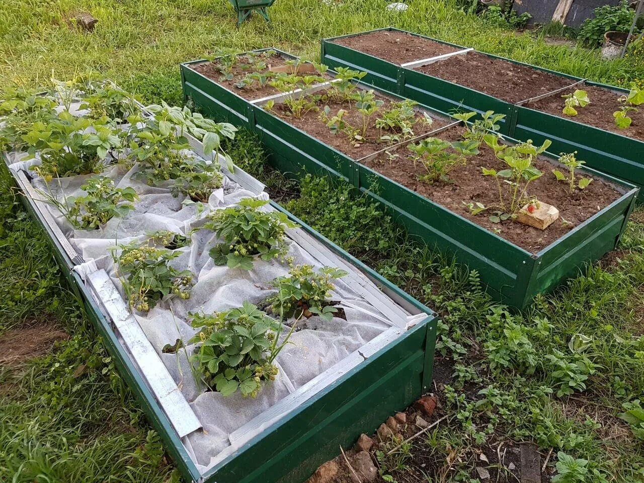 ограждение для грядок. грядки в леруа мерлен. зеленые гряды. зеленые гряды. грядки для зелени.