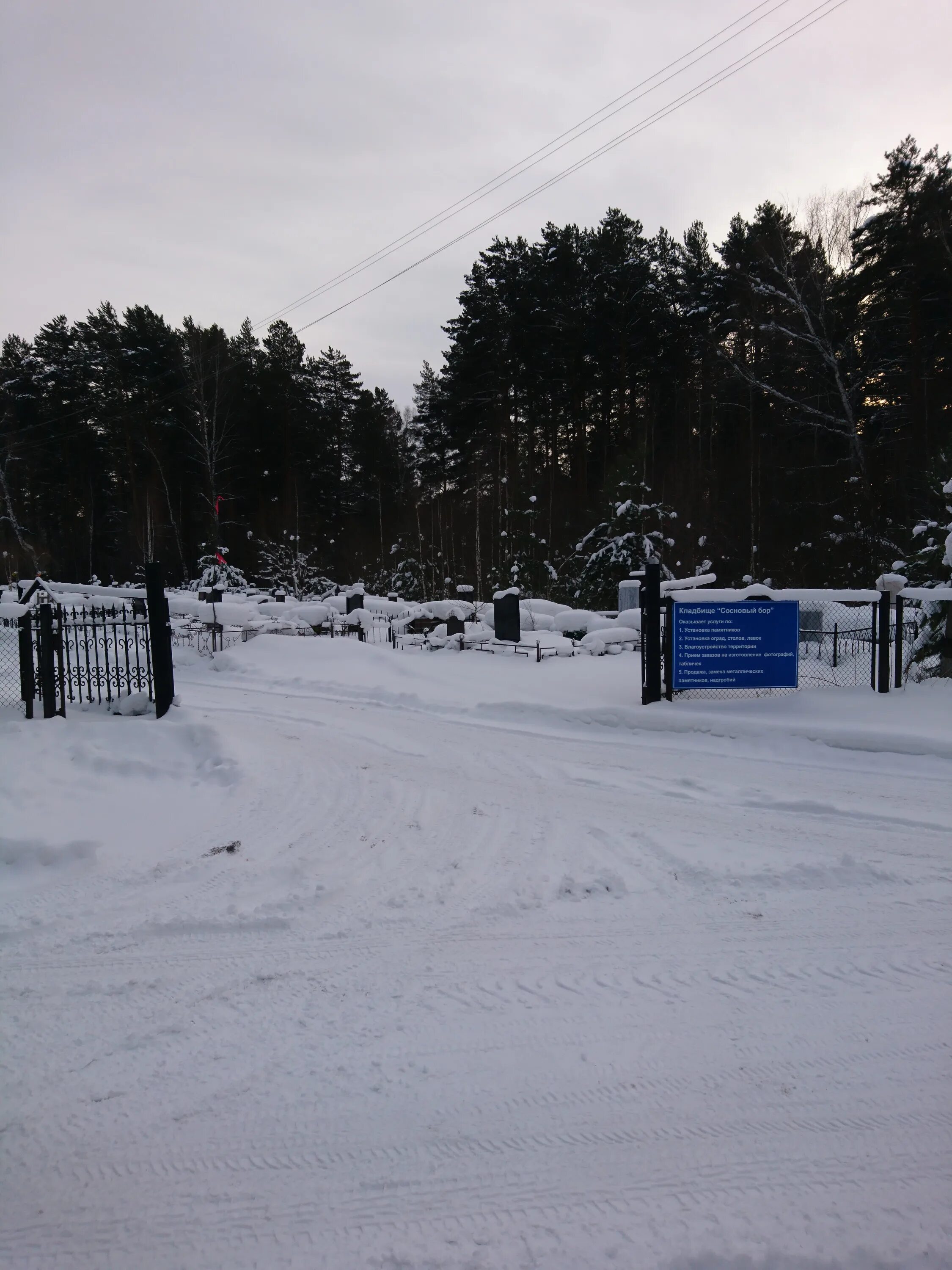 иркутская область зиминский район санаторий сосновая горка зима. пионерская 29а большая соснова. номер телефона сосновый. вимос печать. сосны муррея карелия.