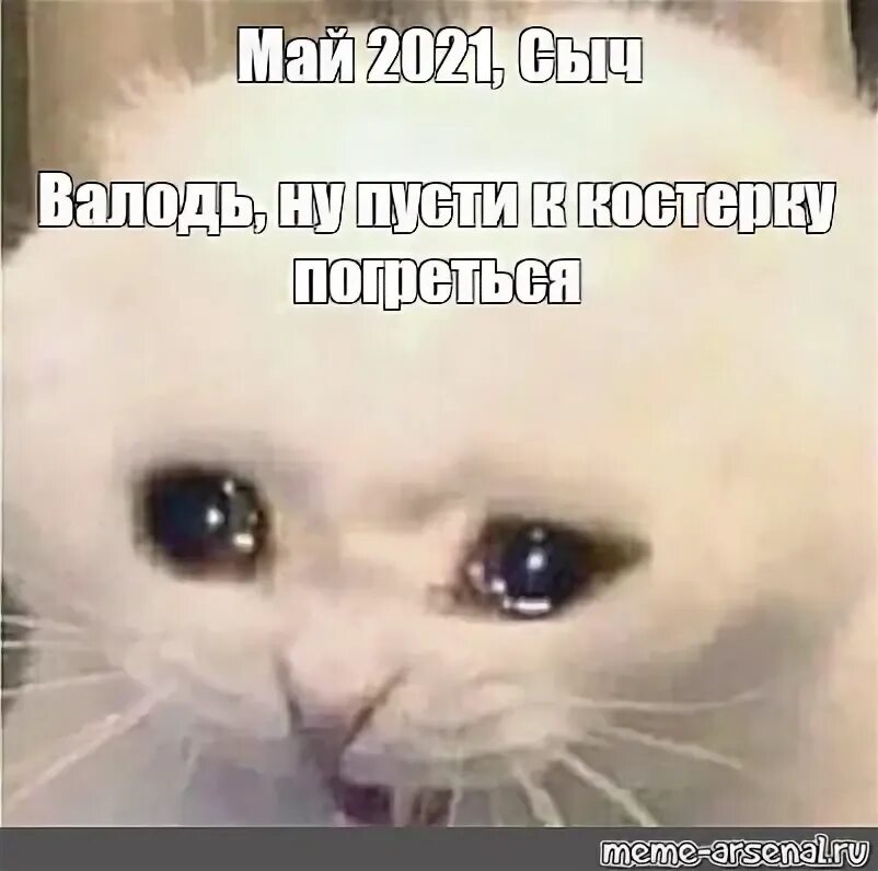 Мая мени