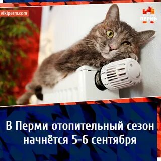 Неделя тепла
