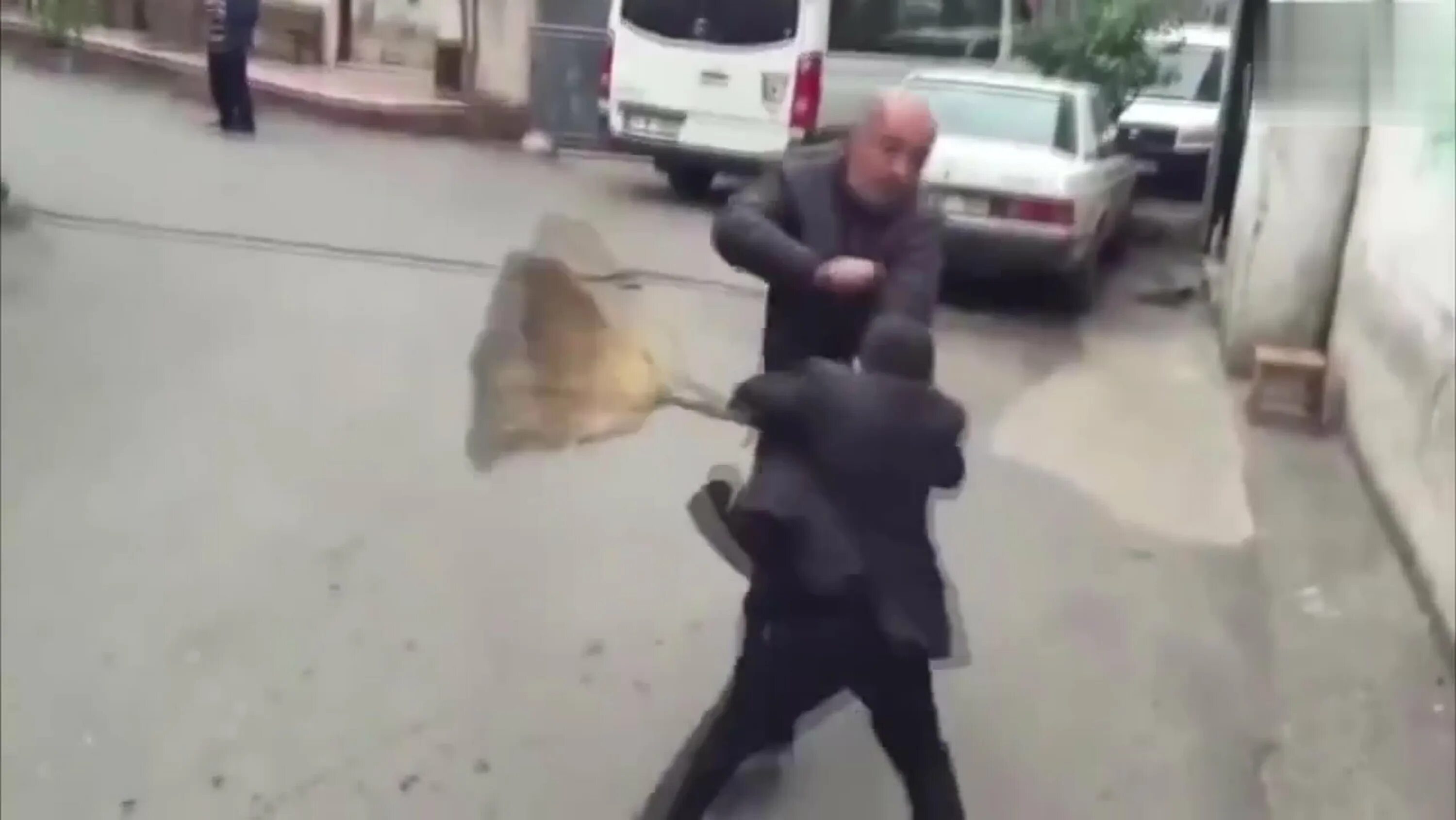 Видео девочка бандита