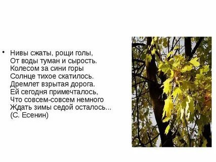 Нивы сжаты рощи