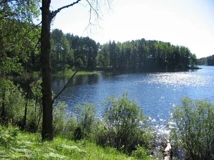 Прогноз ногинский