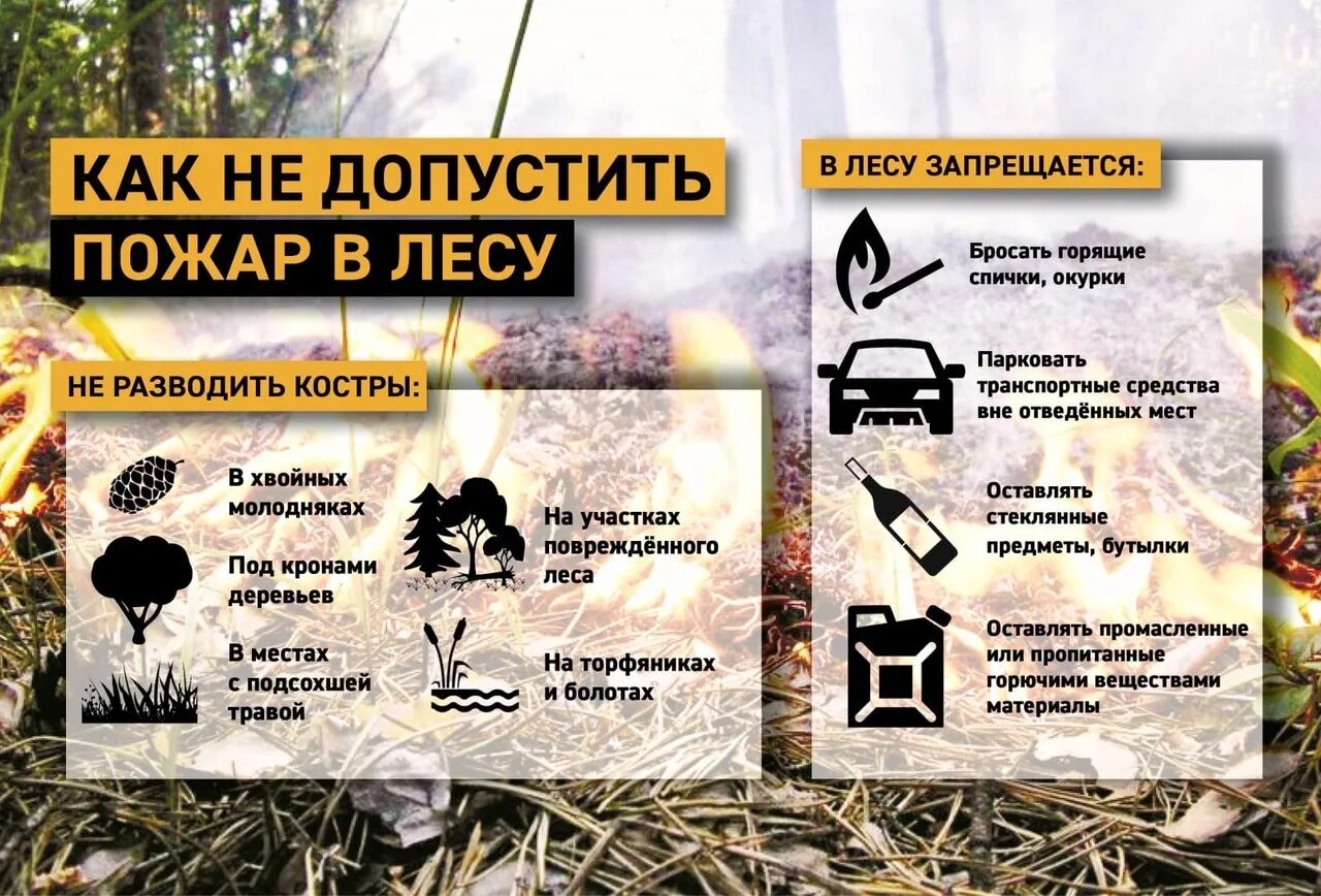 Памятка противопожарные лесные пожары. Где нельзя разводить костер. Правила разведения костра в лесу. Где разводить костер. Где запрещено разводить костры под кронами деревьев.