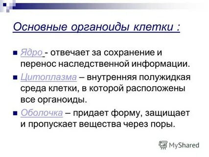 Внутренняя полужидкая среда клетки