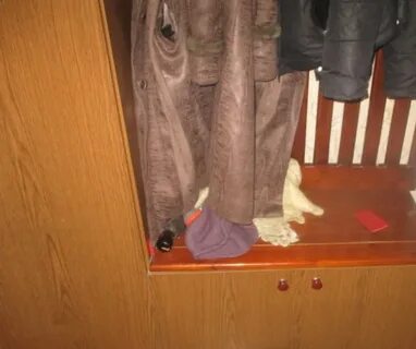 Исчез из квартиры