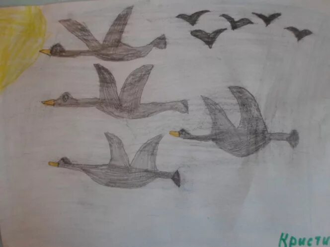 Конспект занятия по рисованию перелетные птицы. Рисование перелетные птицы. Рисование перелетные птицы подготовительная группа. Рисование перелетные птицы старшая группа. Рисование в подготовительной группе перелетные птицы осенью.